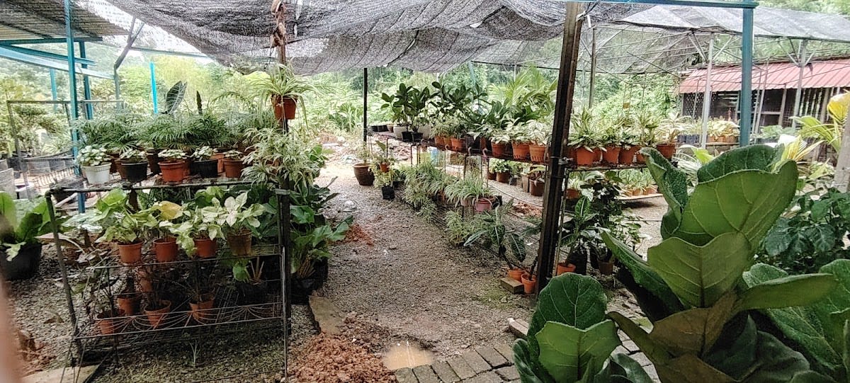 Garden Center Nursery