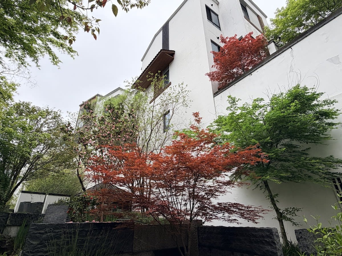 Tan She Tang Quan Resort Hotel-Huangshan