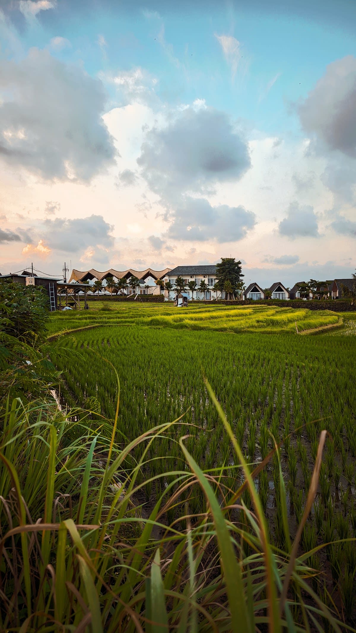 Uma Desa Canggu