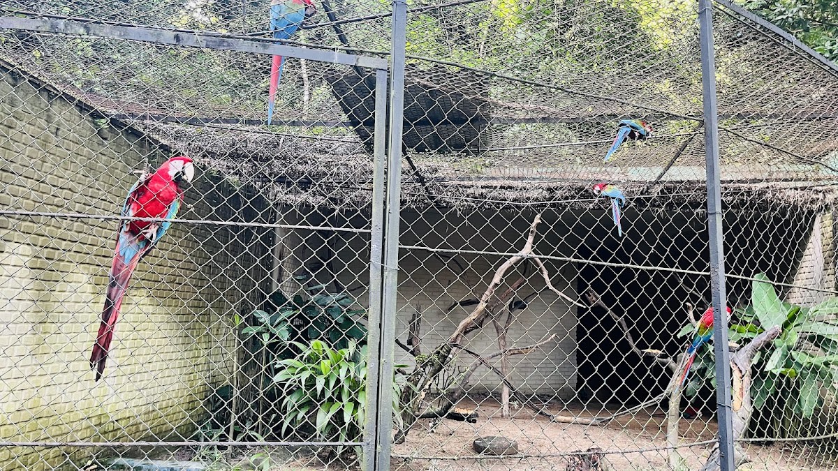 Zoo Botanical Park Dois Irmãos